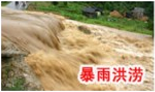 无图片