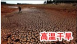无图片