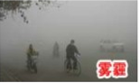 无图片
